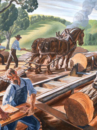 Quarter Sawn
